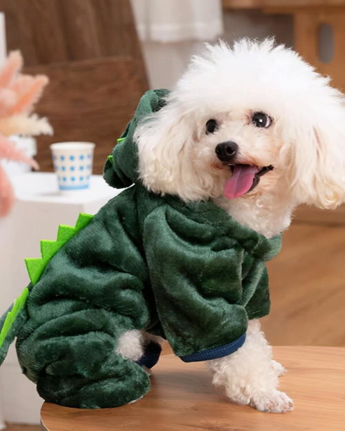 寵物用品市場(chǎng)殺出黑馬 毛孩子也懂快時(shí)尚